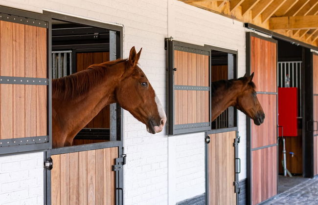 House at Ranch Between Bruges and Damme - Foto 10