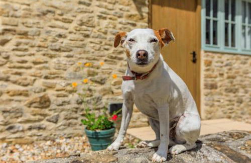 3 Bed in Burton Bradstock oc-h30573 - Photo 7