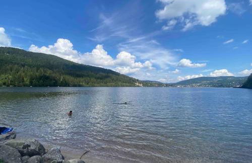 Au Temps Passé - Photo 23