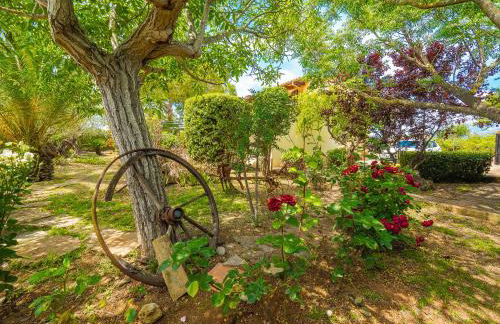 Can Pascolet - Foto 62