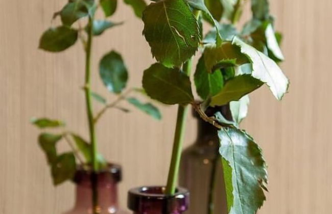 Residence Breydelhof - Photo 37