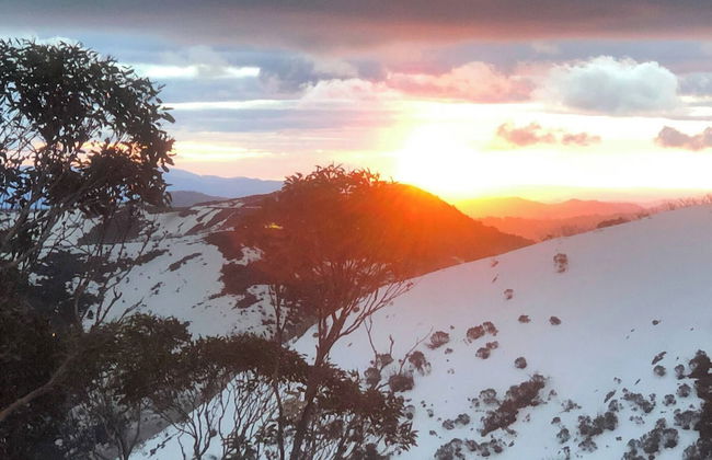 24 Hotham 3 Bedroom Renovated Apartment - Photo 16