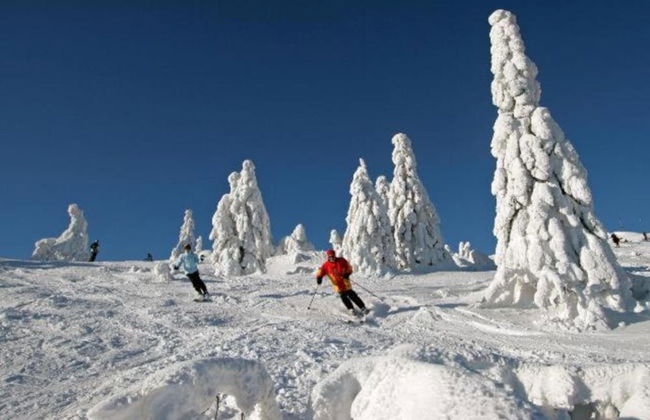 Ferienhaus aus Holz in der Nahe des Skigebiets - Photo 33