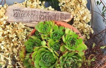 Alb-Biosphäre-Ferienwohnung - Foto 47