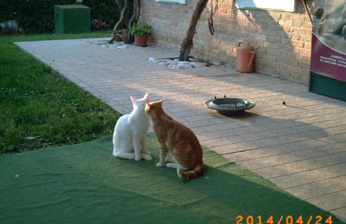 Locanda Antico Fighèr - Foto 23