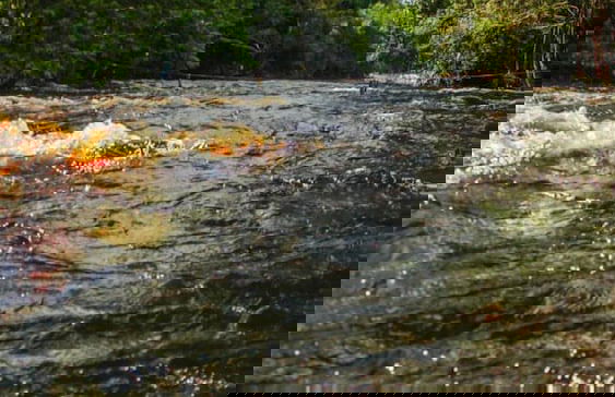 Pedro Alexandre Da Costa - Photo 15