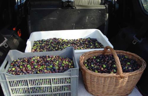 maison bertuli Oliviers Aircon, heated saltwater Pool, 2 Bedrooms - Foto 36