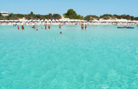 LA CASETTA - Foto 58