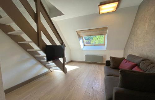 Sancy Resort - Foto 44