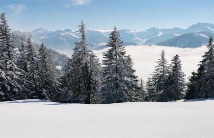 Ferienwohnungen Doro - Foto 54