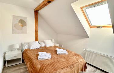 Klimatyczny apartament nr 8 z widokiem na góry Sowie - Foto 5