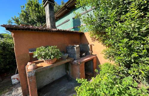 Lo Zizzolo - Foto 16