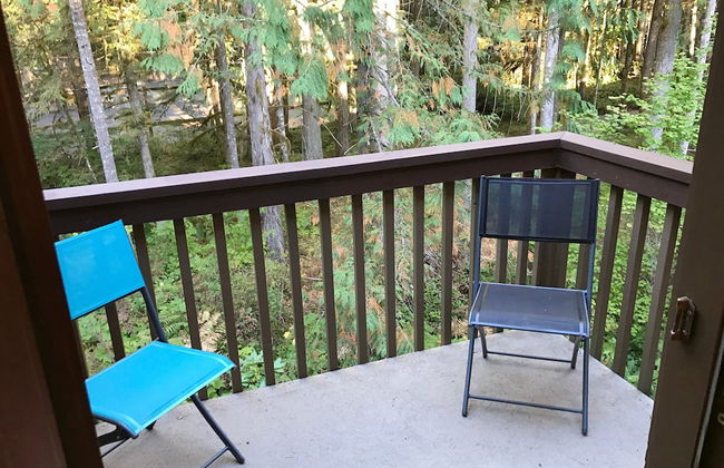 14SW - Fireplace - Dishwasher - Washer/Dryer - Sleeps 6 - Foto 47