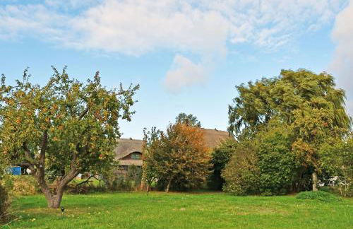 NEU angeboten Mönchguter Ferienhaus u Reetdach mit Kamin - Foto 19