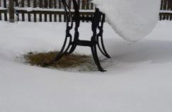 Haus Stefanie Elvire - Foto 59