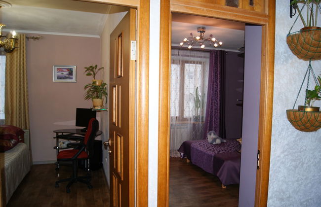 Apartment on Radischeva 23 apt 20 - Photo 4