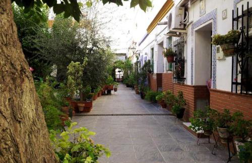 Típico y pintoresco patio de vecinos, con encanto - Foto 14