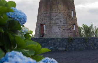 O Moinho Da Bibi - Photo 30