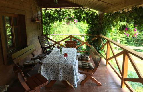 Leśniczówka domek balia sauna jeziorka w lesie na wyłączność - Foto 6