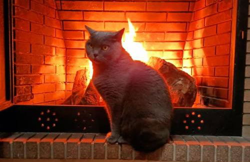 Villa con piscina - Foto 14