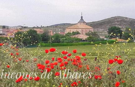 Casa Rural Rincones de Albares - Foto 32