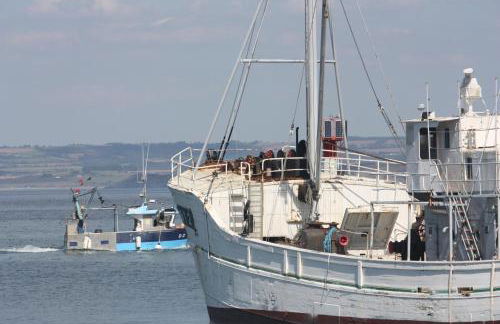 Appartement Design V Port de Tréboul-Douarnenez - Foto 18