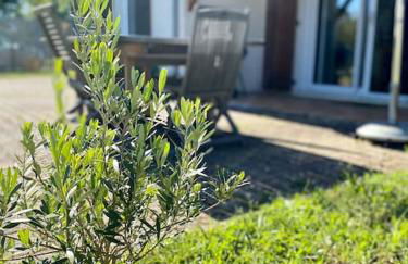 Maison (4pers) confortable entre bassin et océan - Foto 20