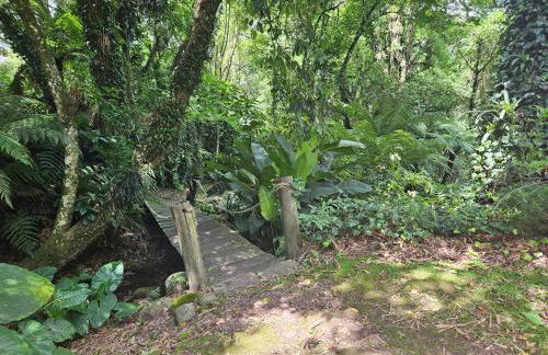 Cantinho das Oliveiras. - Foto 24