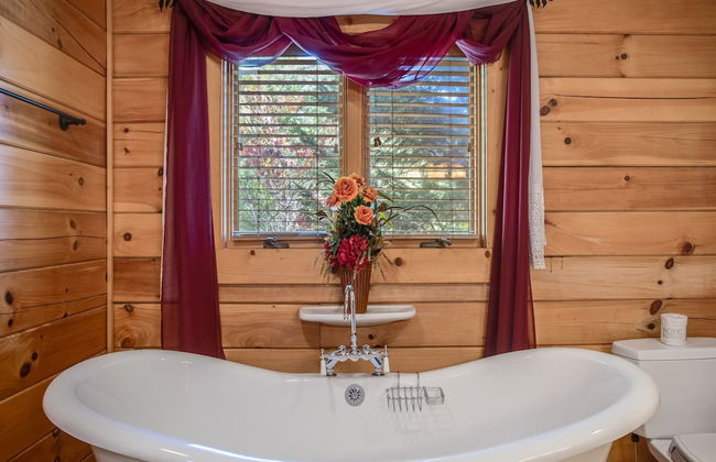 Bear Slide - Foto 25