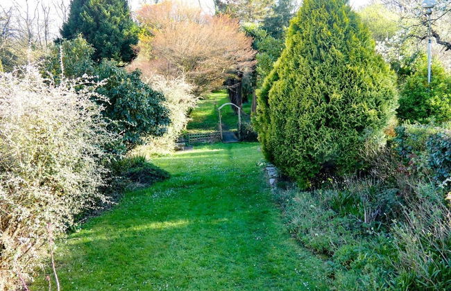 Green Leas - Foto 13