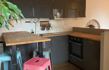 Appartement bucolique - Cœur historique Dijon - Foto 6