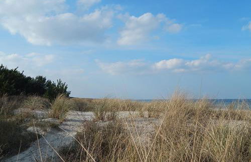 Grit´s Ferienwohnung - Foto 26