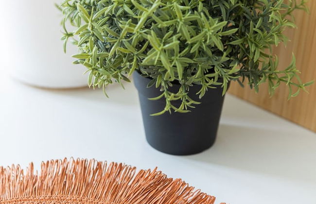 Casa Checha in Candelaria - Foto 48