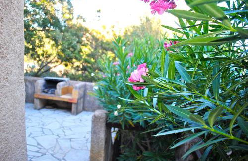 Villa Cala Rossa 45M2 4-5 pers Rondinara Bonifacio - Foto 6