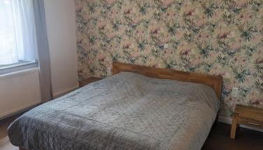 idyllische Lage direkt am See - Photo 4