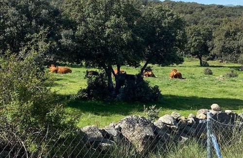 Luz de Luna - Foto 24