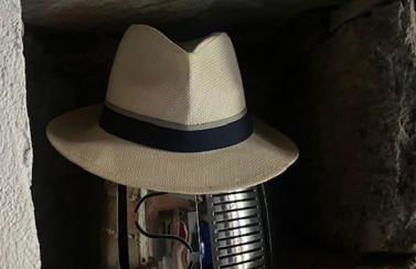 Antico Glicine - Foto 29