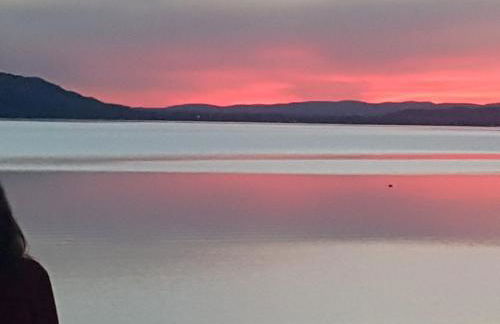 Historisches Fachwerkhaus "Hoher Hirschen" mit romantischem Hof und Garten - Charmantes Studio und grosses, museales Apartment - Foto 27
