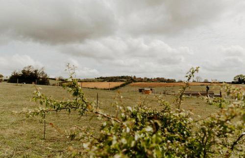FAIRVIEW FARM Holiday Accommodation 14 Luxury Lodges, Cabins, Dog Friendly, Suitable for Couples, Families and Groups, Wedding Guests , Corporate events, Sleeps 2-65 guests in Ravenshead, Nottingham near Sherwood Forest, set in 88 acres - Photo 62