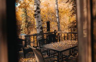 20 min to Yellowstone, Family Cabin, Fire Pit - Photo 26