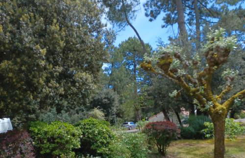 AGREABLE REZ DE JARDIN AVEC TERRASSE PROCHE PLAGE - Foto 29