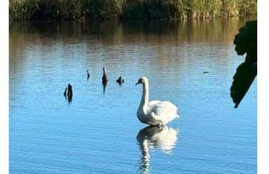 Apartament Pięć Mórz z basenem - Foto 46