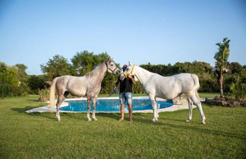 Agriturismo Santa Lucia - Foto 44