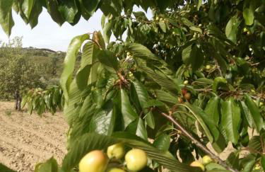 Casa Cabeço do Barragão - Photo 47