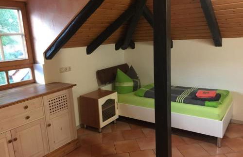 Zur alten Fahrschule - Foto 10