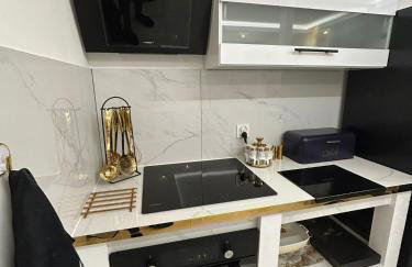 Luksusowa Ekskluzywna willa z sauną,siłownią dużym ekskluzywnym salonem na wyłączność eksluzywny duży dom 2 poziomy-dom nowoczesny styl elegancki 3 łazienki , sypialnia,salon, 2 duże garaże POMYSŁ NA JESIENNO ZIMOWY WYJAZD wolne terminy !! - Foto 78