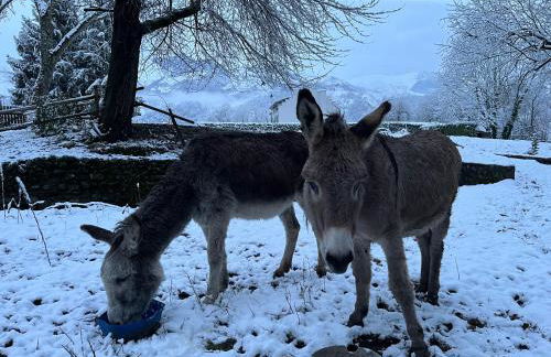 Lodge ou Gîte de caractére avec jaccuzi spa piscine - Foto 76