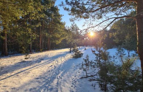 Domek pod Lasem - Foto 27