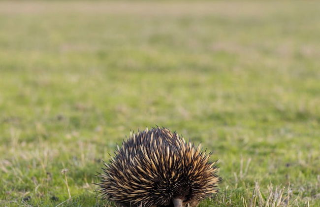 Reflections Grabine Lakeside - Holiday Park - Foto 39