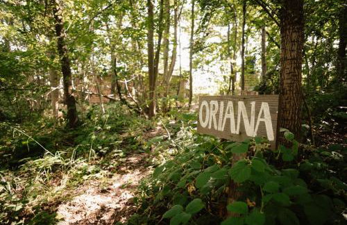 Oriana - Photo 11